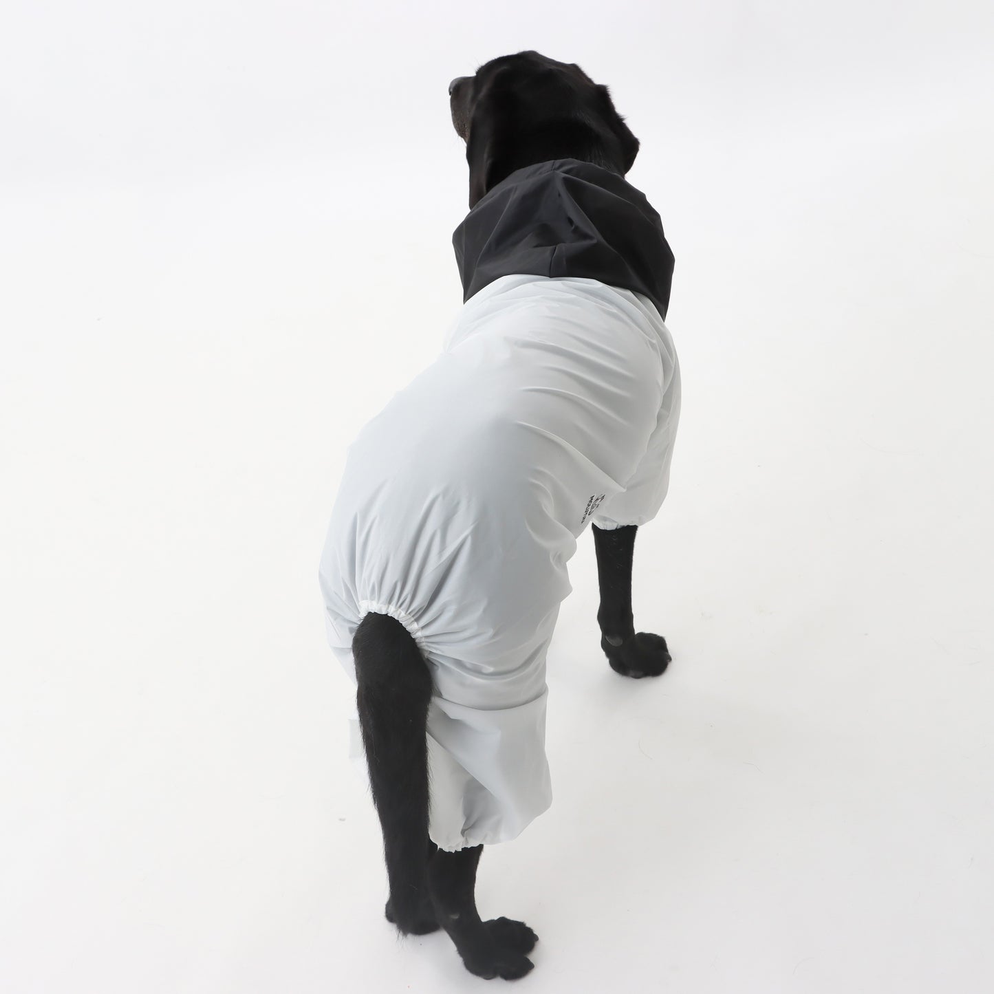 MOLUYUKA Raincoat for pets