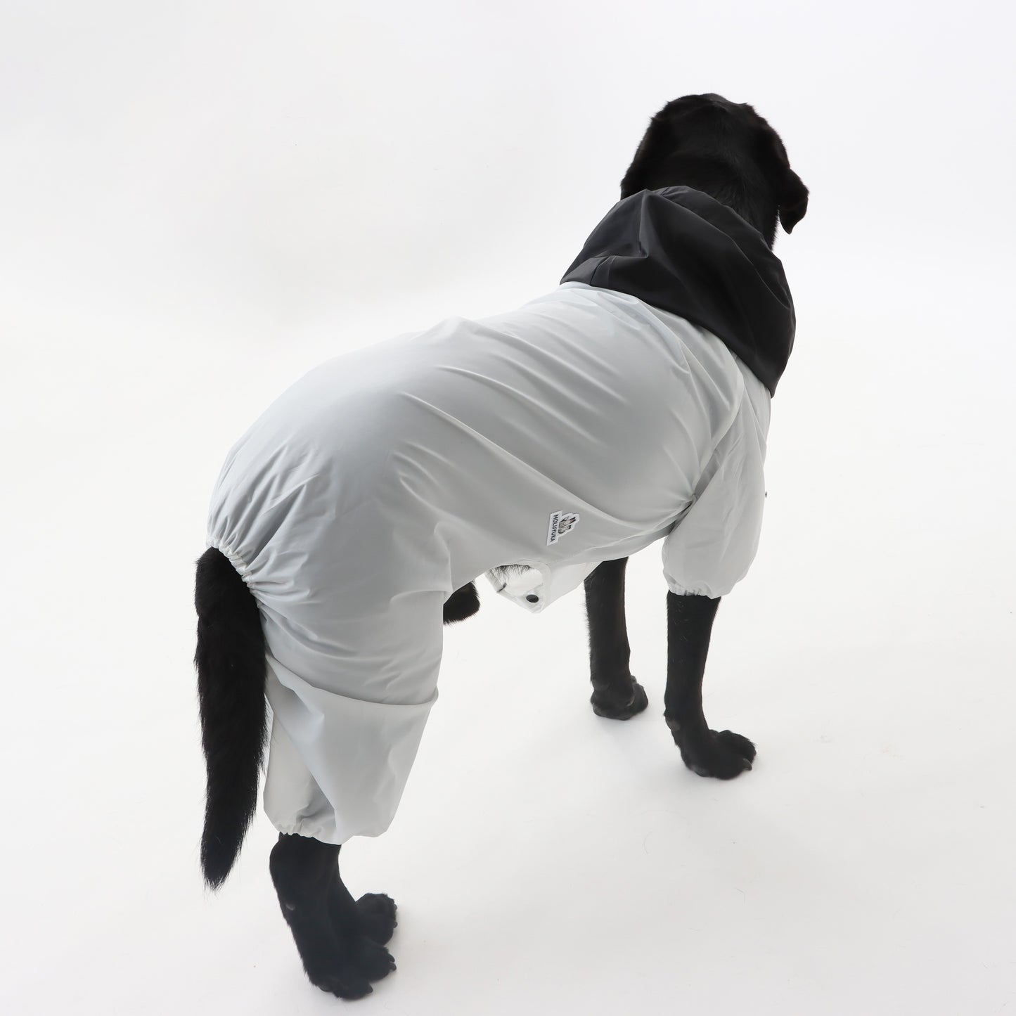 MOLUYUKA Raincoat for pets