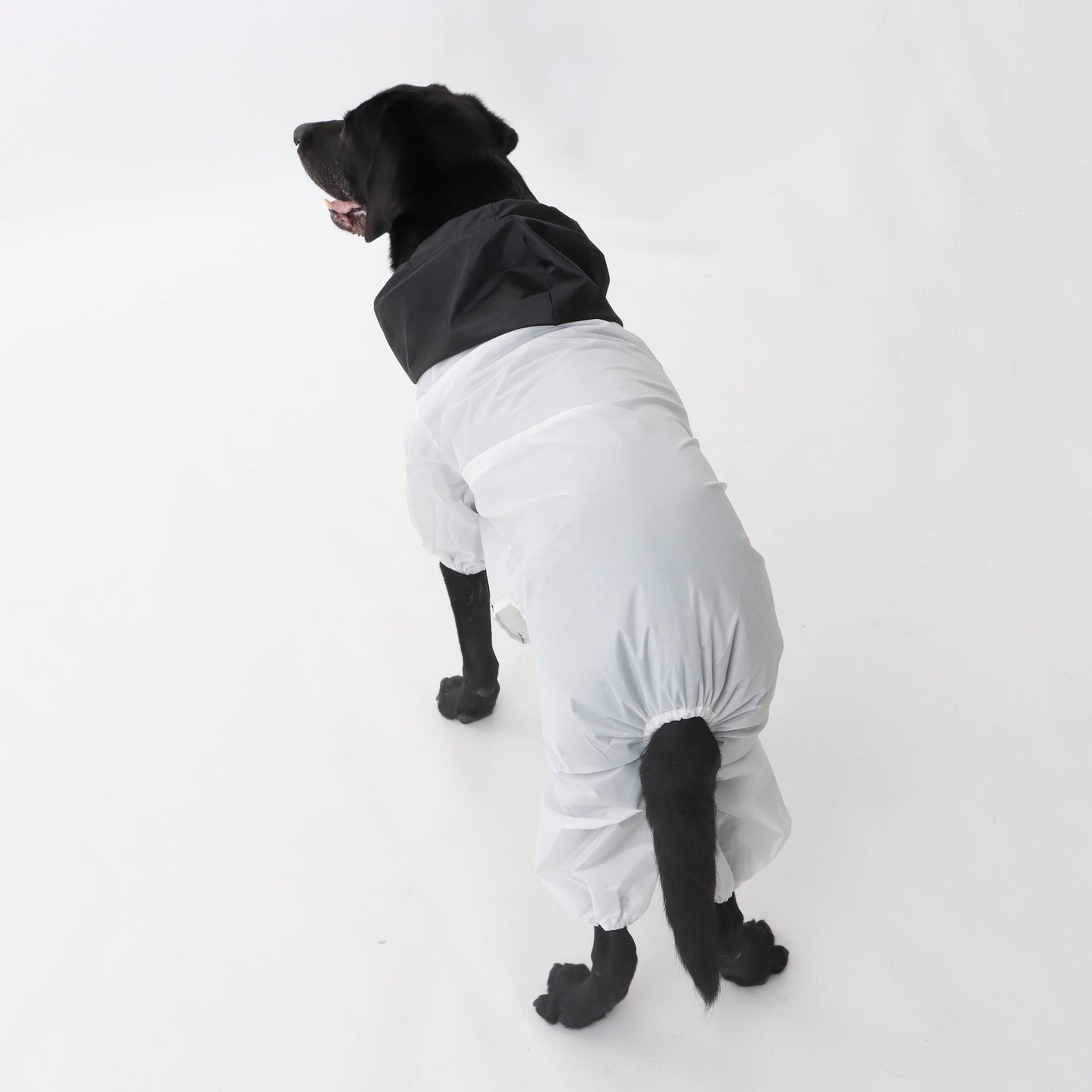 MOLUYUKA Raincoat for pets