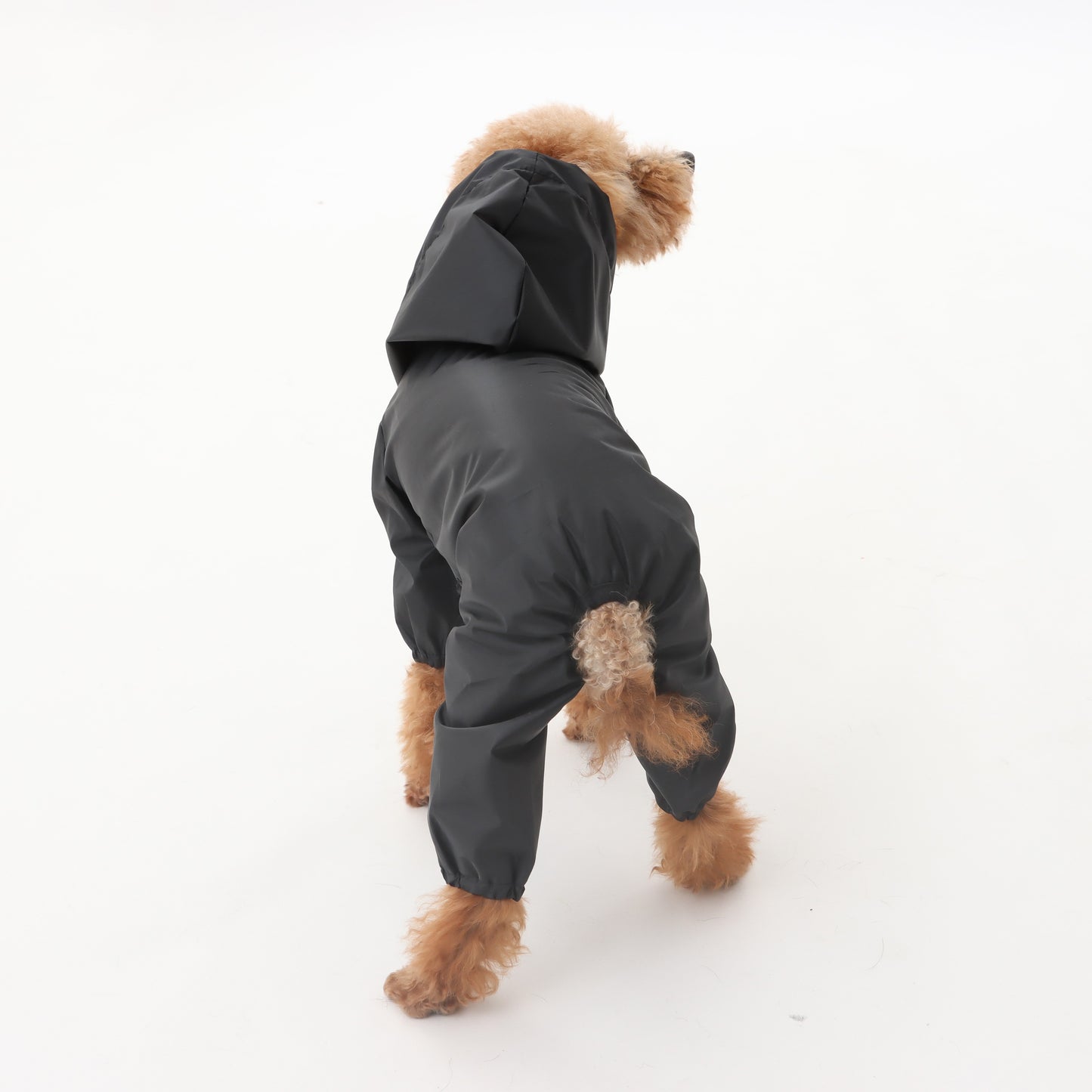 MOLUYUKA Raincoat for pets