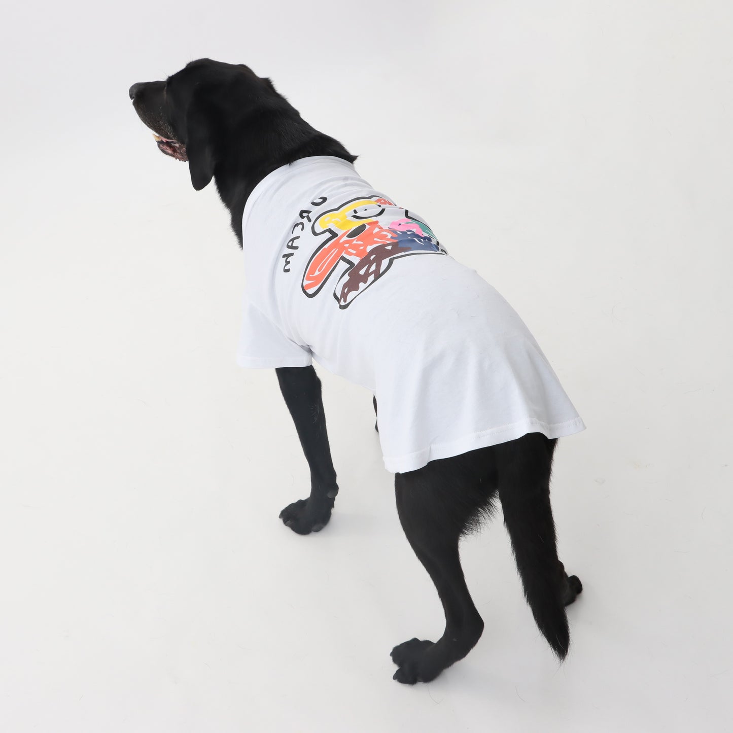 Bear Tシャツ for pets