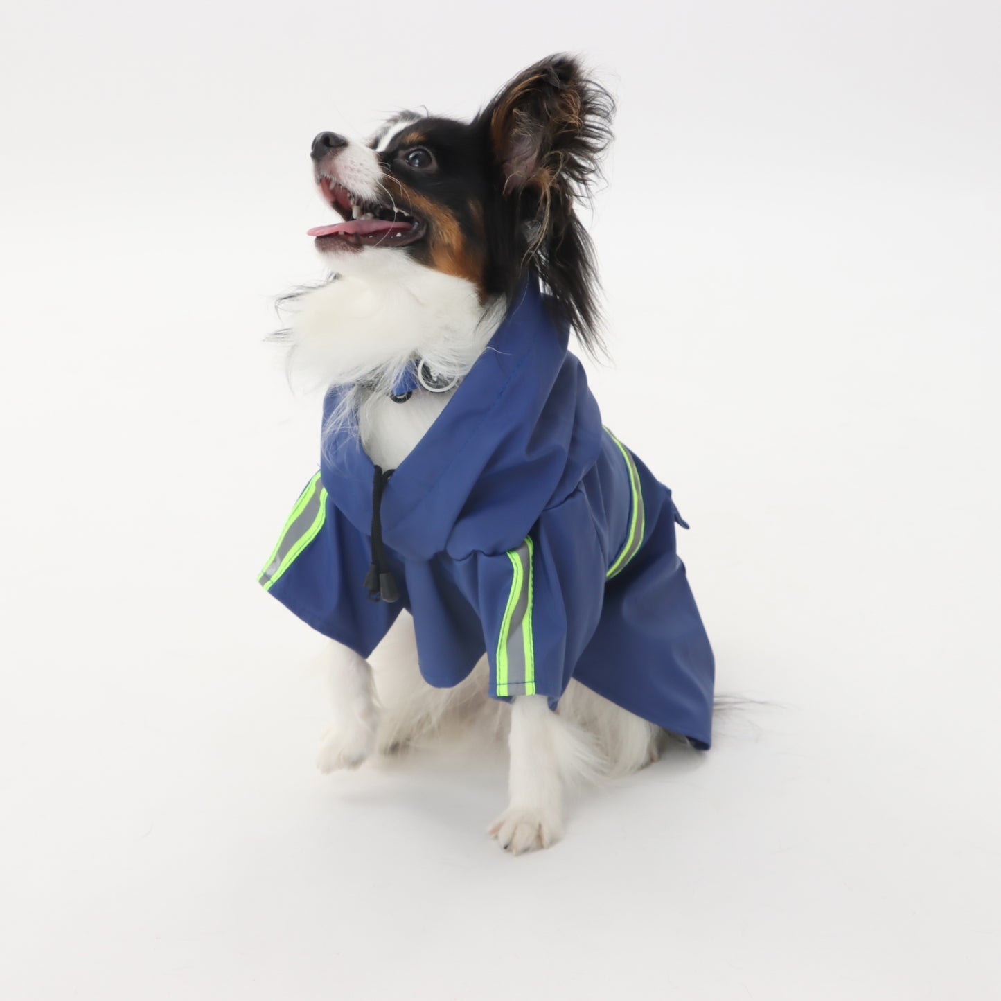 Raincoat with reflector for pets