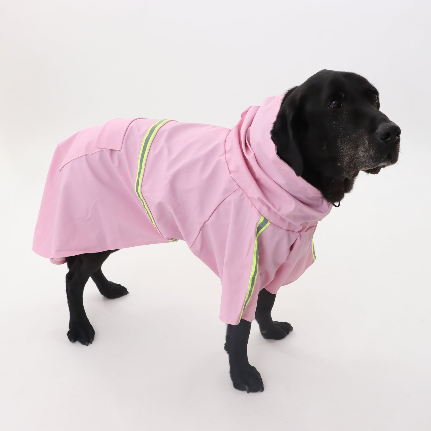 Raincoat with reflector for pets