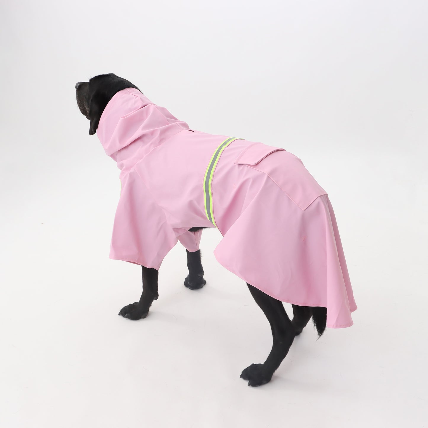 Raincoat with reflector for pets