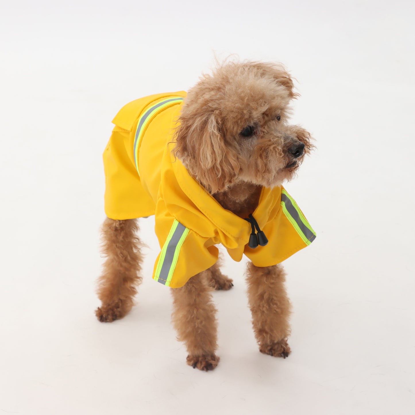 Raincoat with reflector for pets