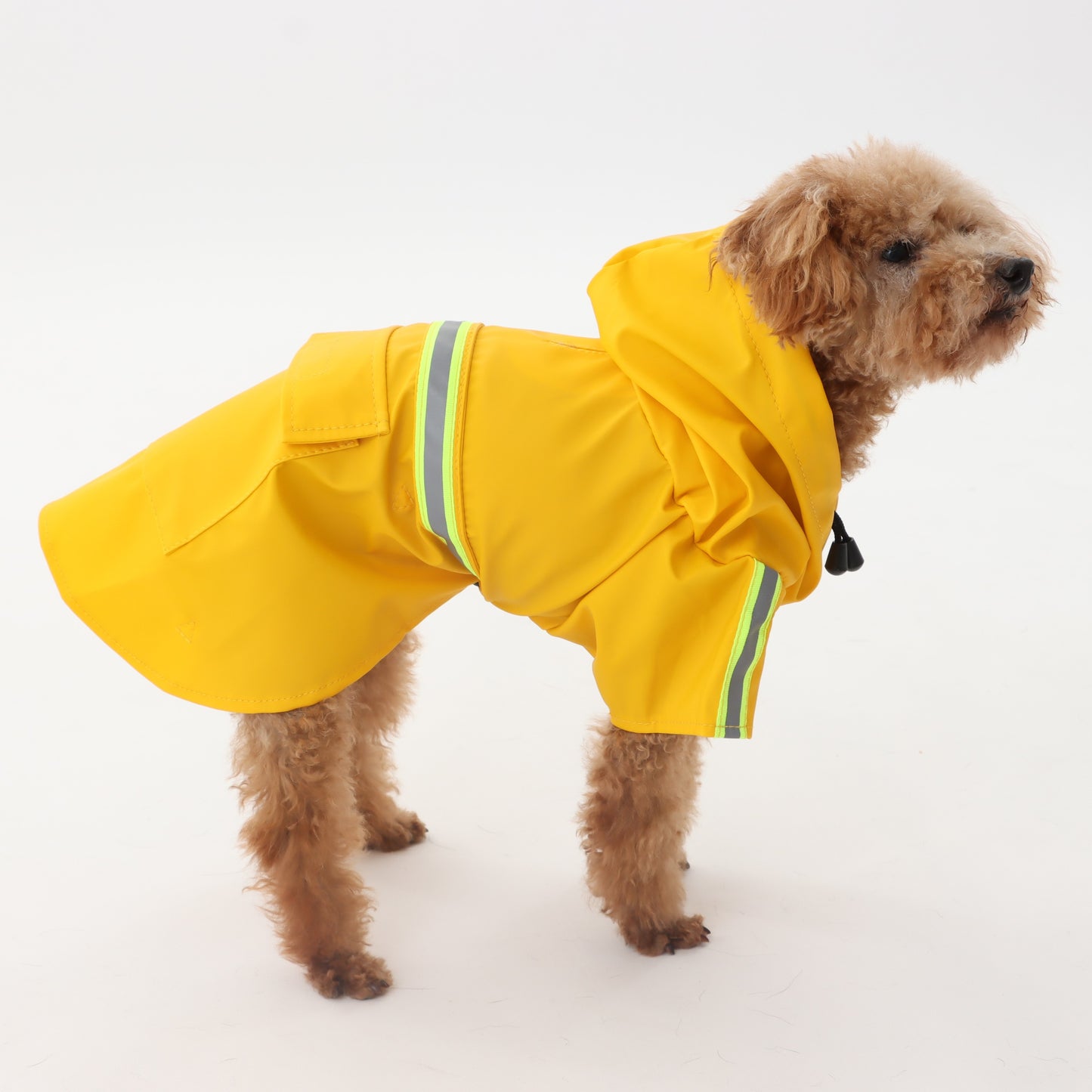 Raincoat with reflector for pets