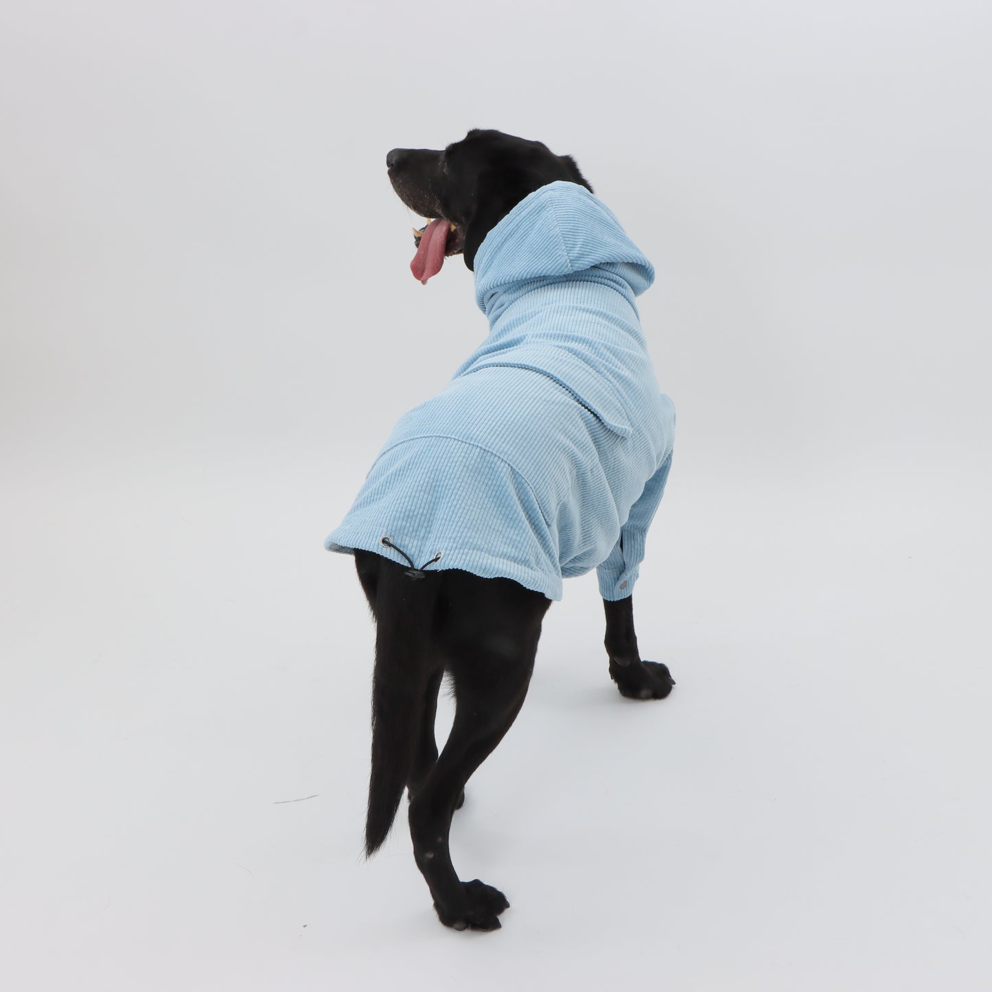 Corduroy blouson for pets