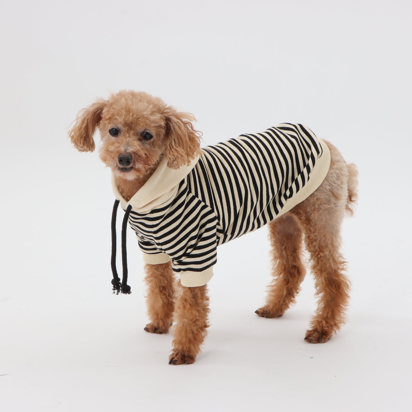 Striped hoodie for pets