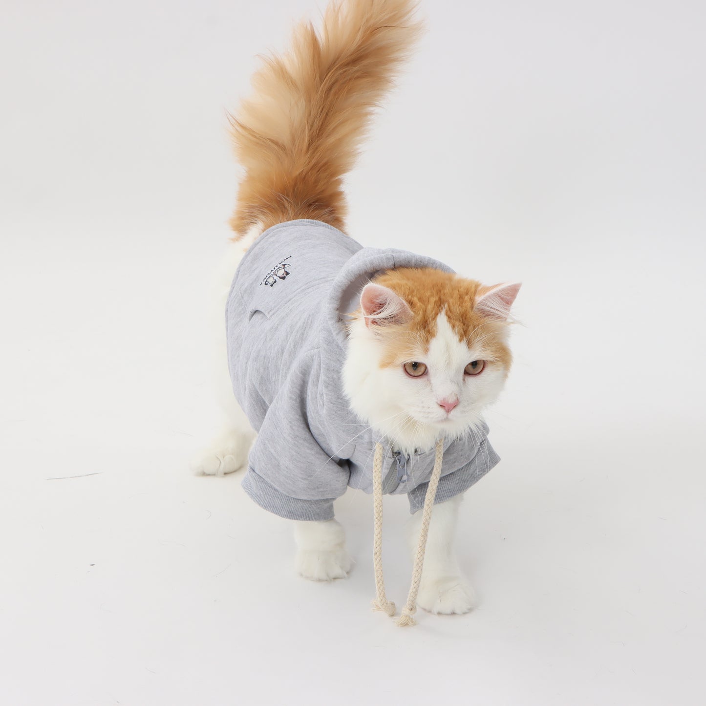 MOLUYUKA Fluffy Hoodie for pets