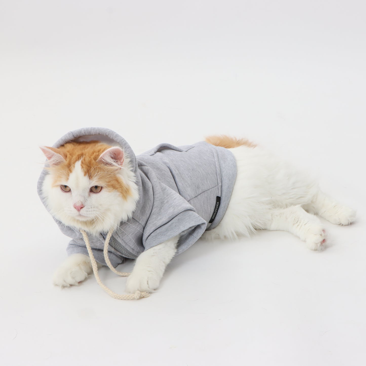 MOLUYUKA Fluffy Hoodie for pets