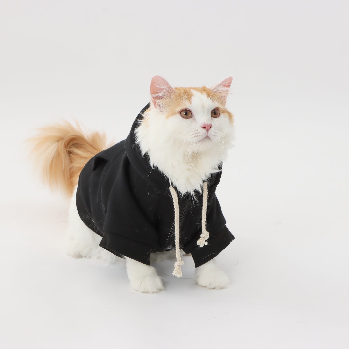 MOLUYUKA Fluffy Hoodie for pets