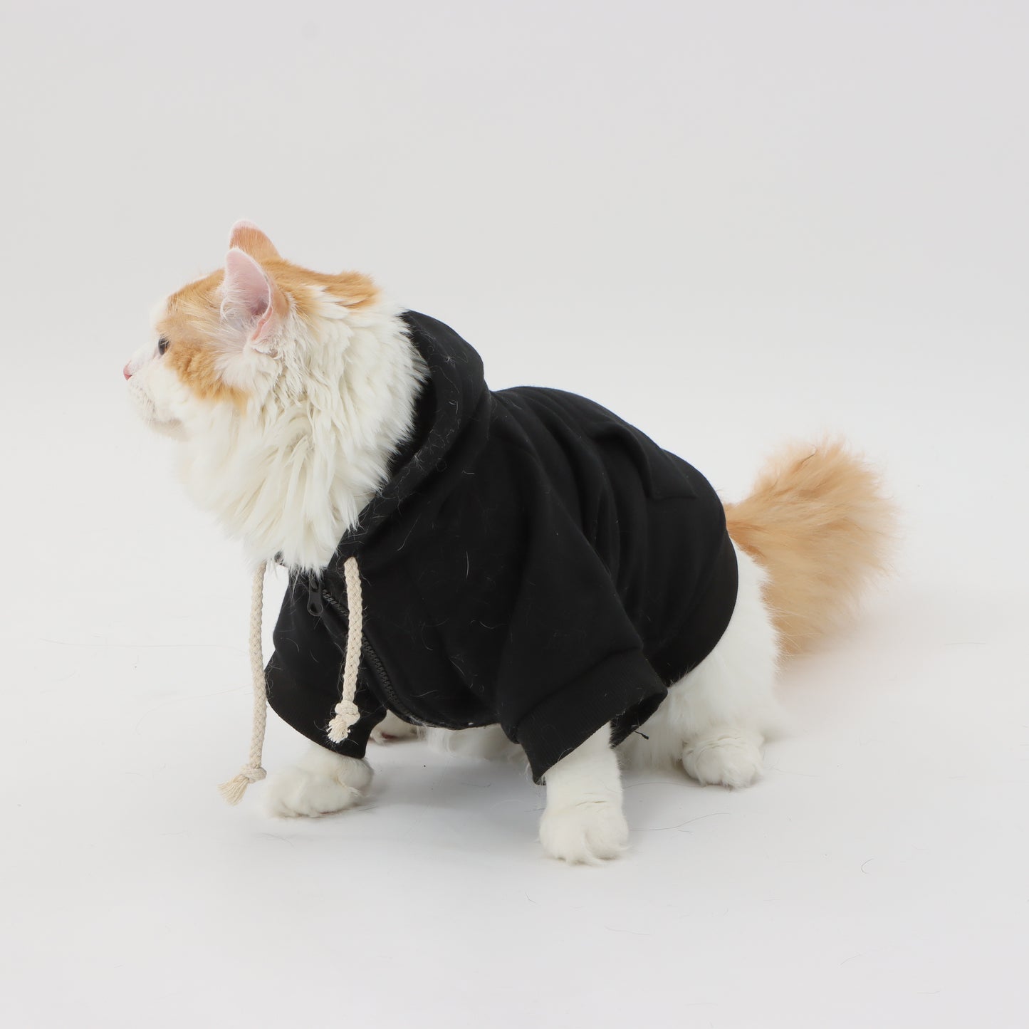 MOLUYUKA Fluffy Hoodie for pets