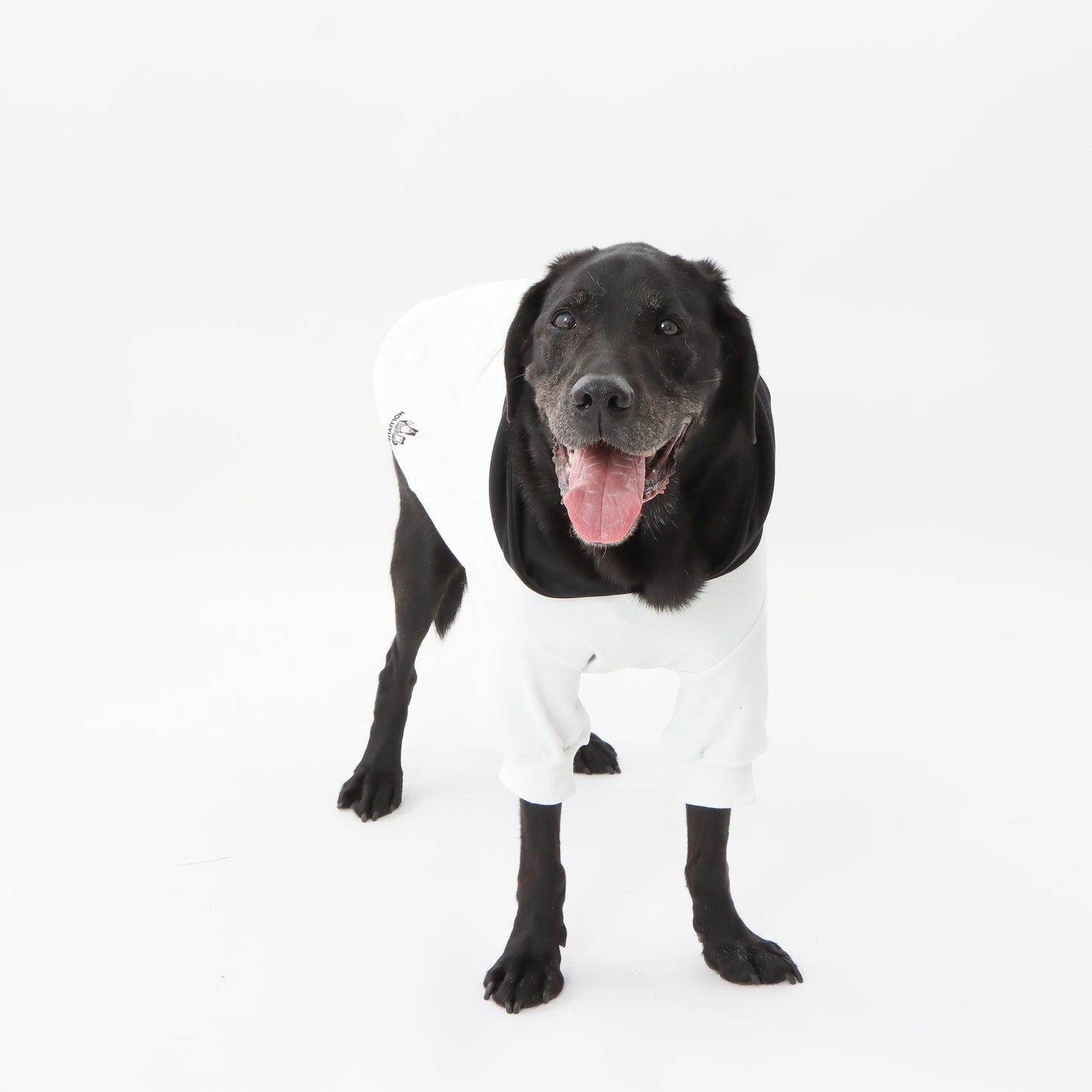 MOLUYUKA Bicolor Hoodie for pets