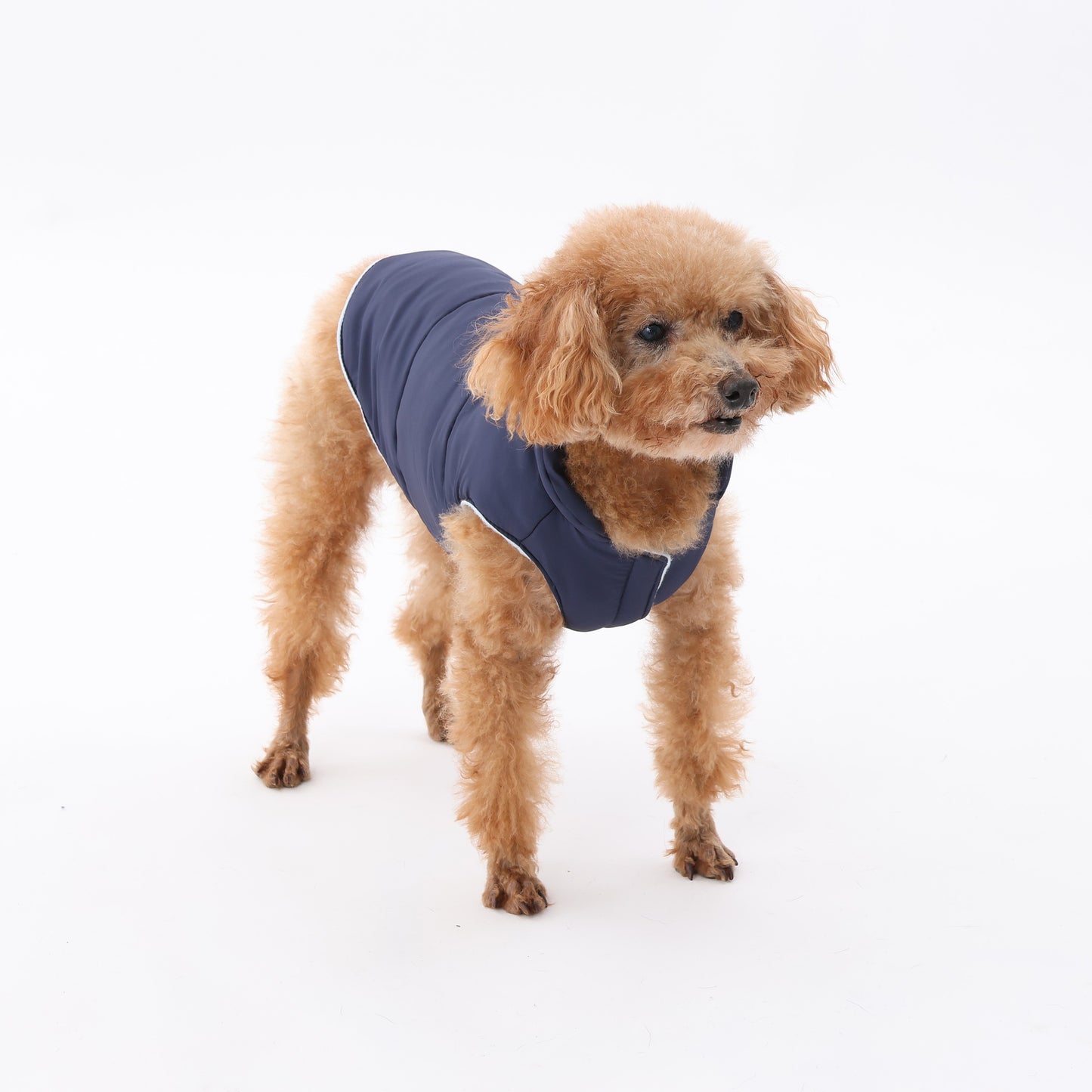 MOLUYUKA coat for pets