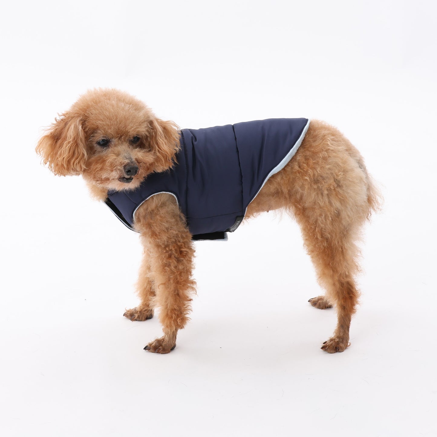 MOLUYUKA coat for pets