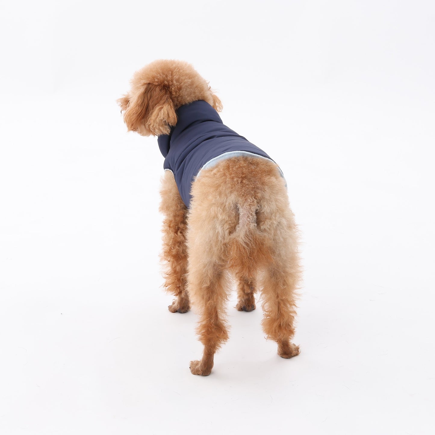 MOLUYUKA coat for pets