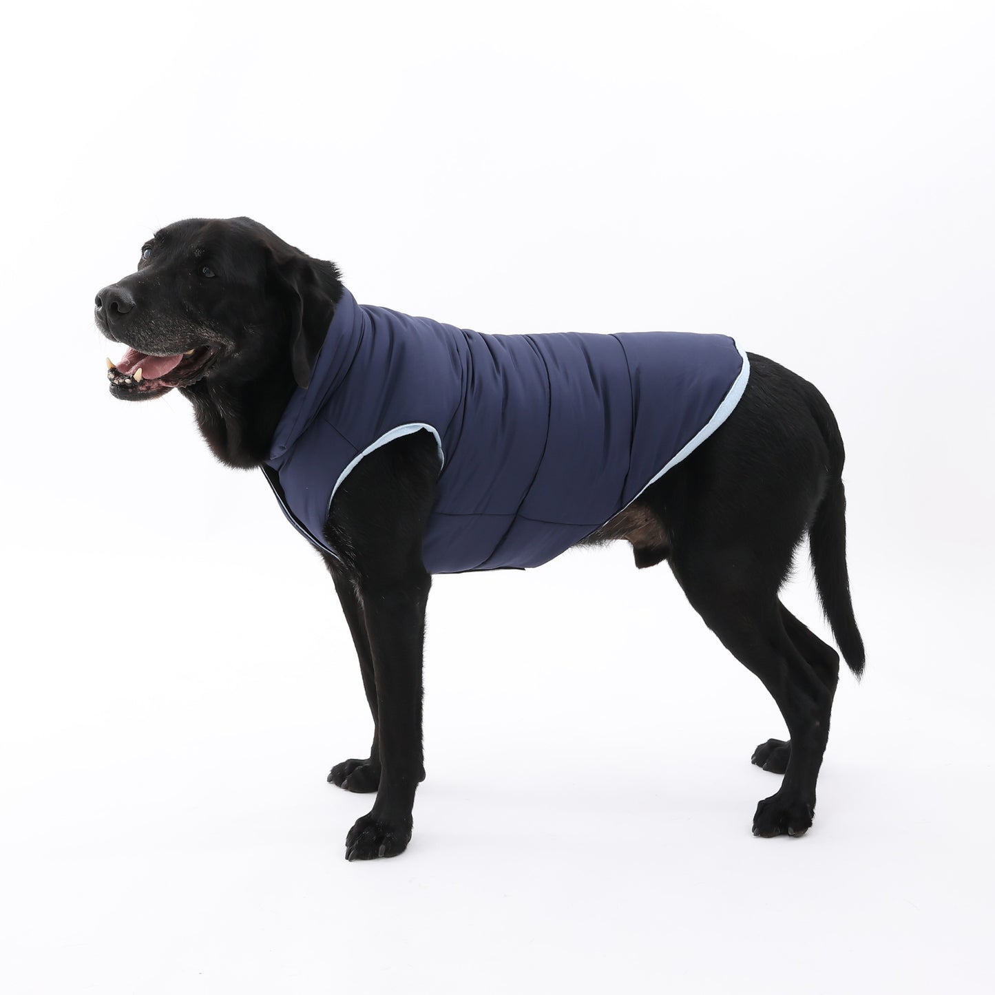 MOLUYUKA coat for pets