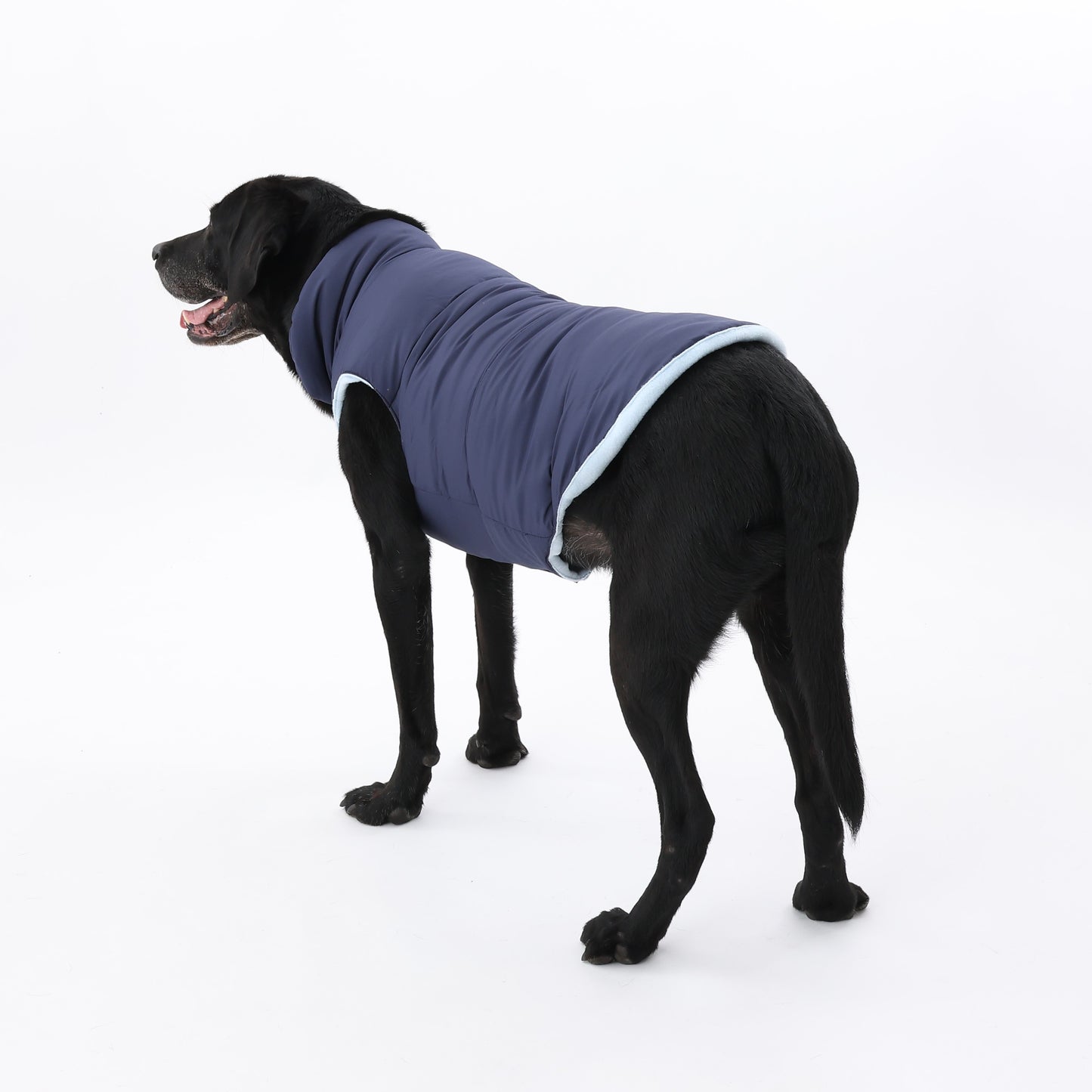 MOLUYUKA coat for pets