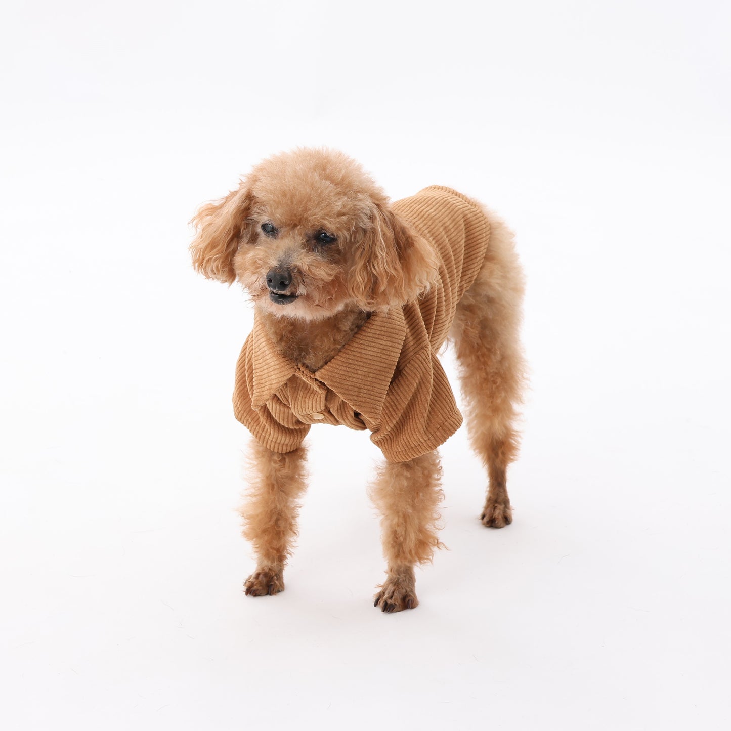 MOLUYUKA Corduroy Shirt for pets