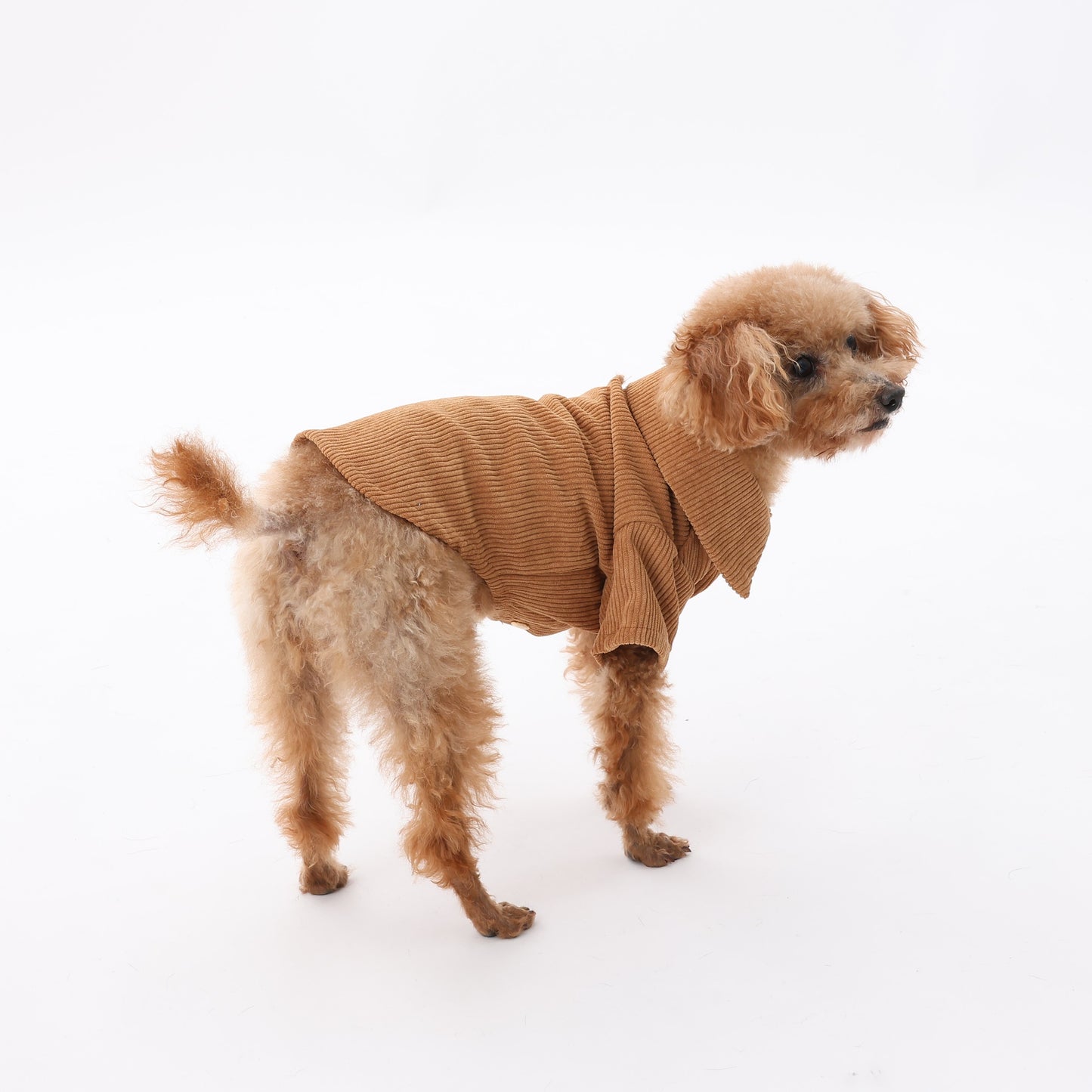 MOLUYUKA Corduroy Shirt for pets